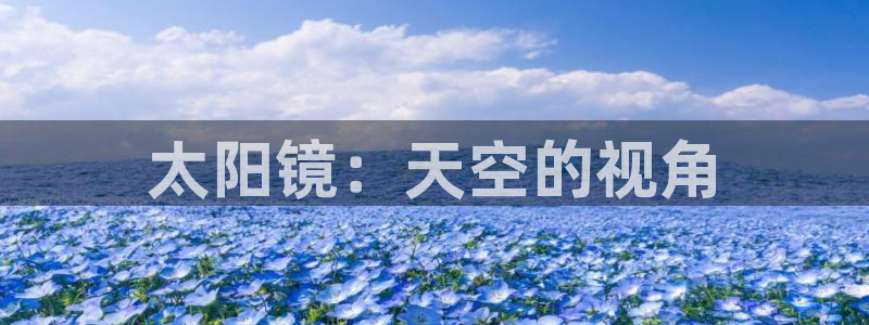 卧龙区维也纳娱乐会所