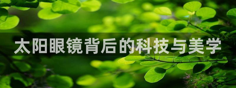 卧龙娱乐主管招聘信息