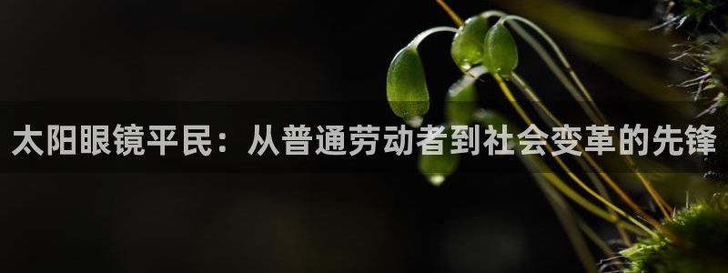 绥阳卧龙湖娱乐