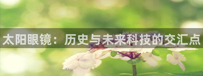 卧龙娱乐月