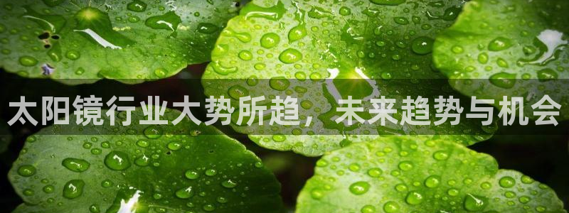 卧龙谷娱乐