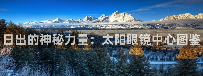 卧龙区夜晚娱乐