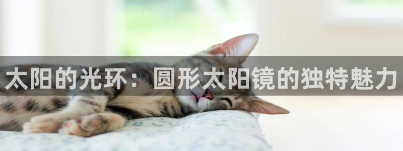 卧龙娱乐是哪个系列