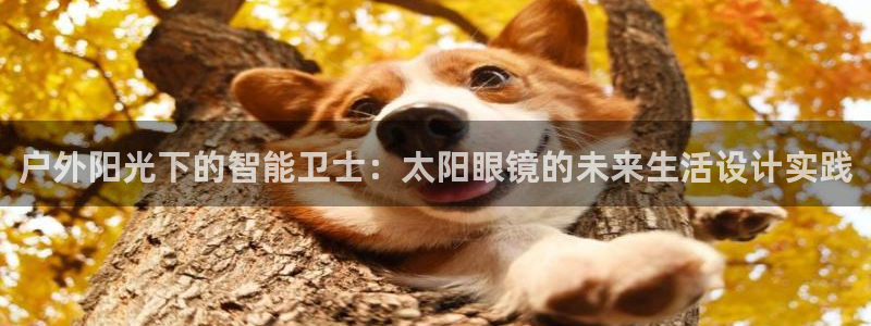 卧龙娱乐总管