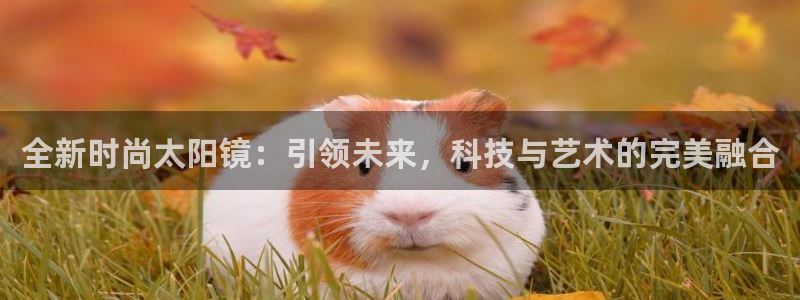 卧龙娱乐396667