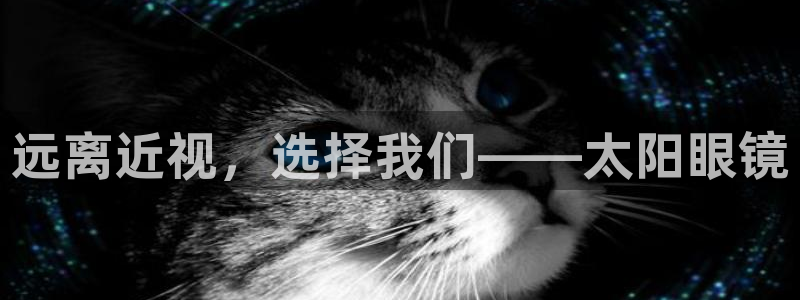 卧龙娱乐集团投注