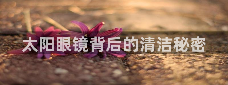 卧龙娱乐官网首页下载