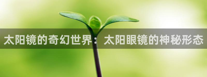 sky娱乐- 0 47卧龙