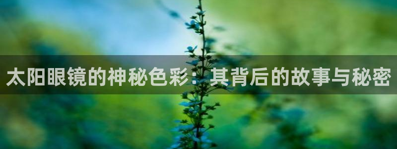 卧龙娱乐招商代理电话