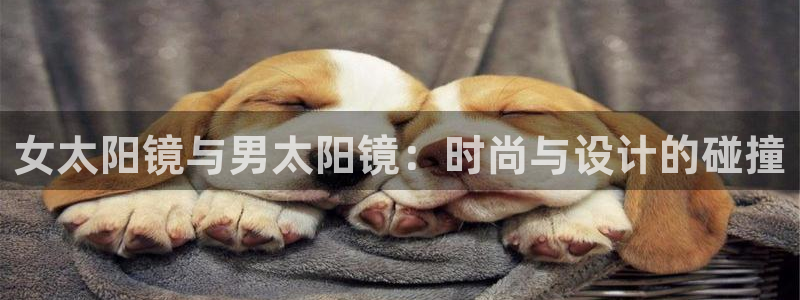 卧龙区微微娱乐商城