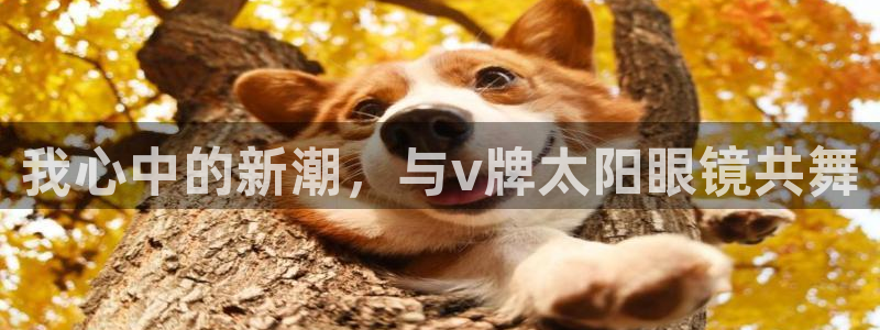 卧龙山娱乐项目