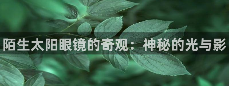 卧龙娱乐测速