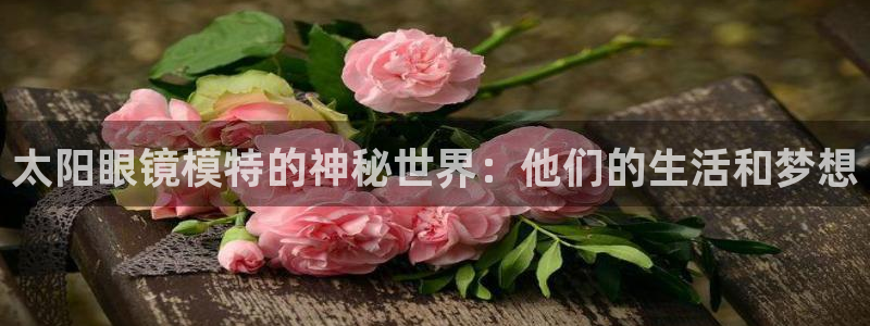 卧龙区微微娱乐商城