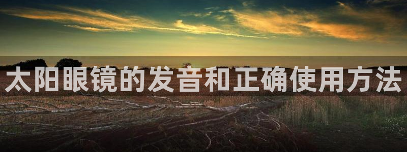 卧龙沟娱乐场