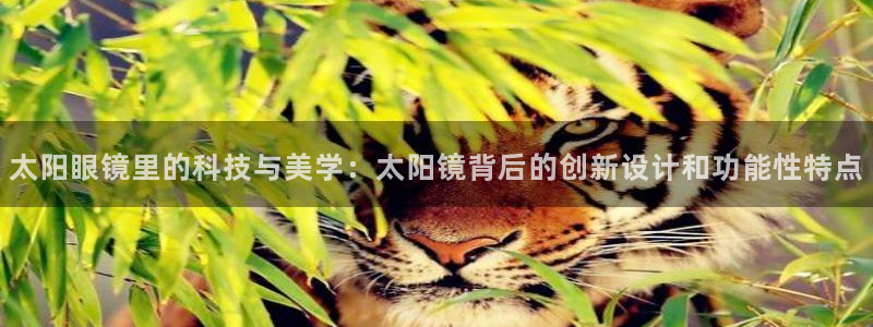 卧龙镇娱乐会所电话