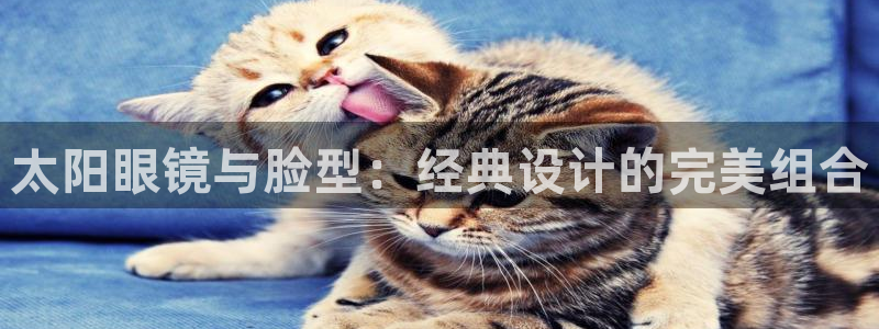 卧龙天尊国际娱乐会所