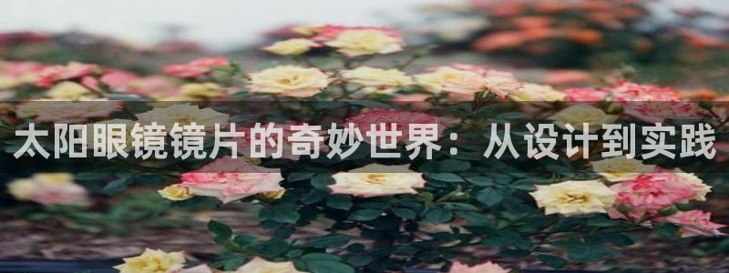 卧龙娱乐总代理是谁呀
