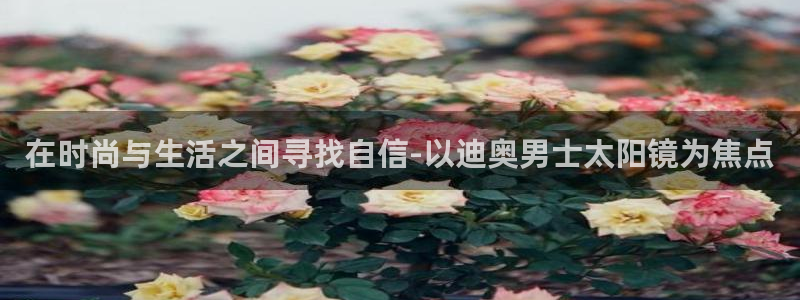 卧龙娱乐桐333OO