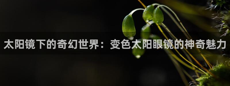 卧龙娱乐挂机软件下载