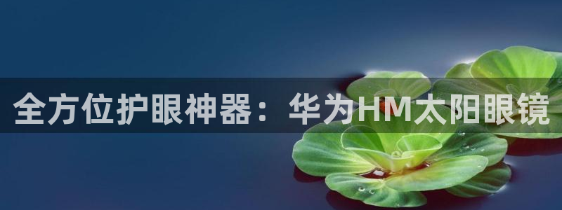 卧龙凤锄娱乐