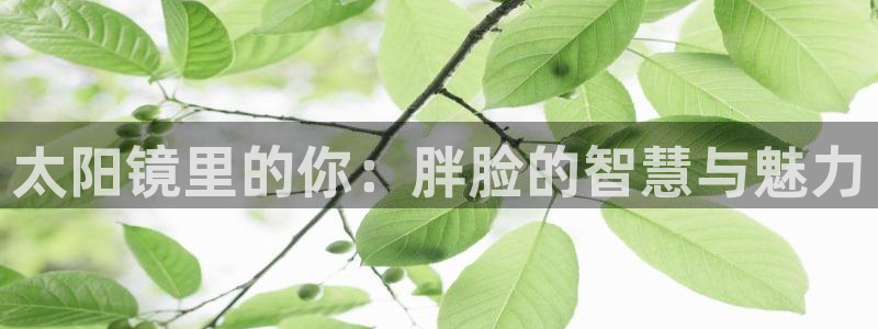悉尼卧龙岗娱乐