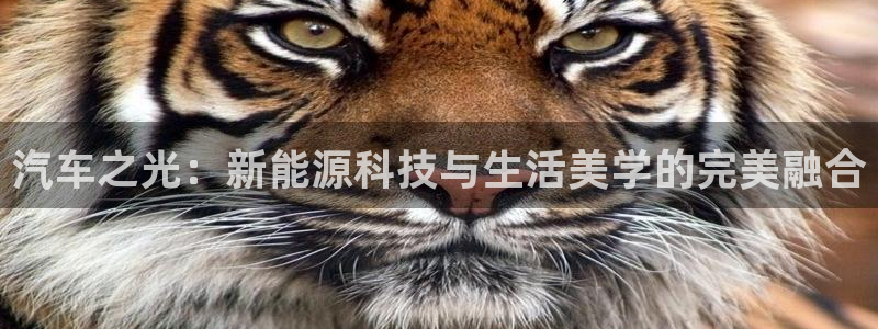 卧龙娱乐主管招聘信息