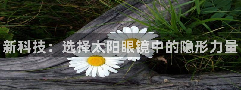 卧龙娱乐app下载安装