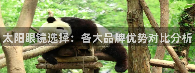 卧龙大型娱乐