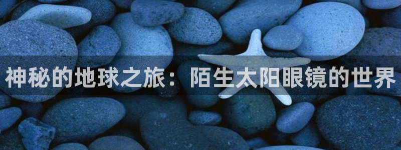 卧龙娱乐彩票官网下载