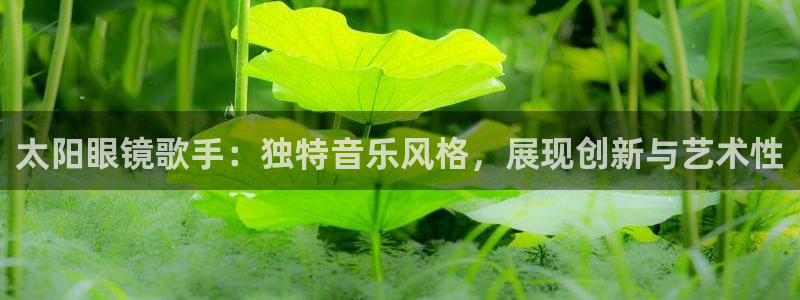 卧龙娱乐挂机软件