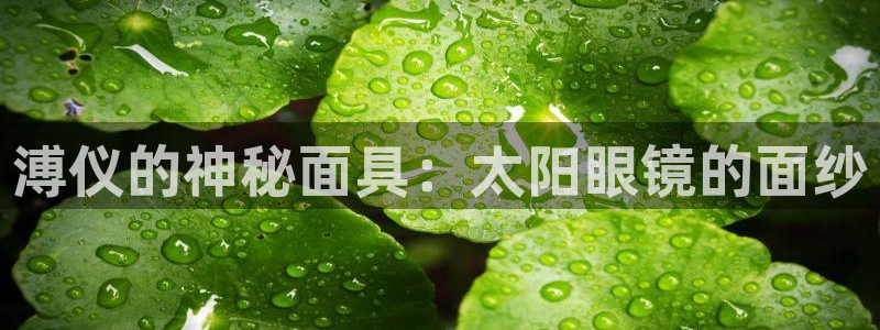 星鸿娱乐 0 47卧龙