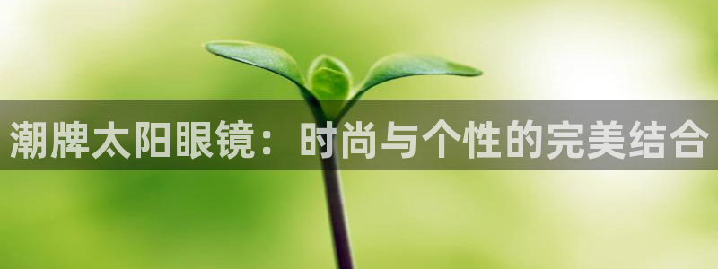 卧龙娱乐过山车