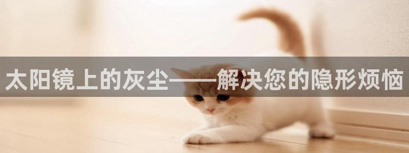 卧龙新款娱乐设备