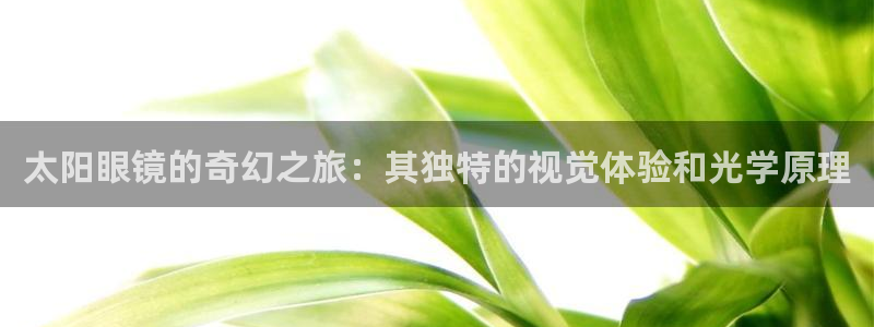 卧龙镇娱乐会所电话