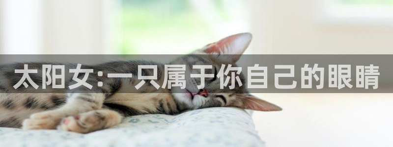 PT娱乐卧龙主管60447
