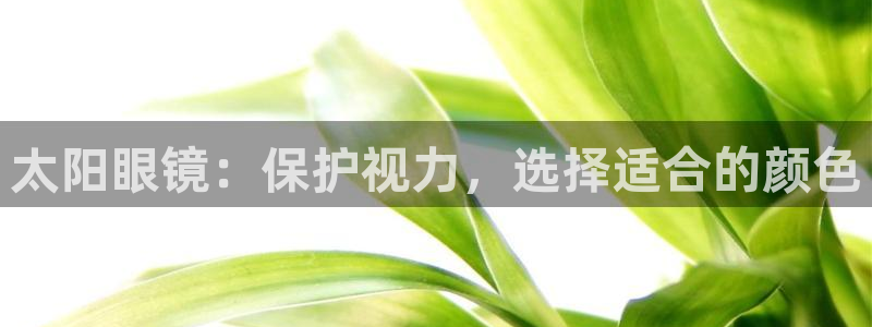 卧龙娱乐属于什么公司