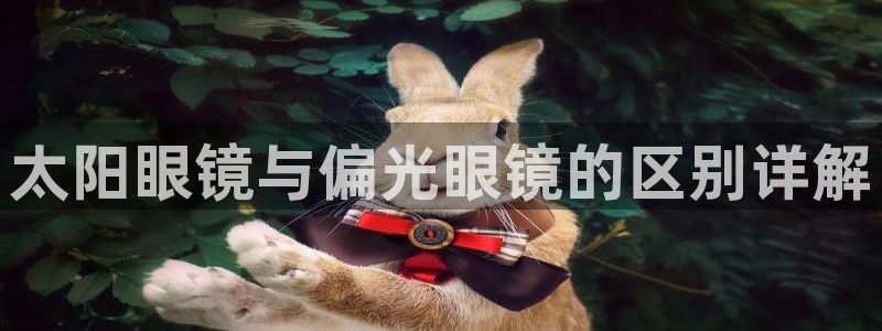 卧龙2娱乐雀711112
