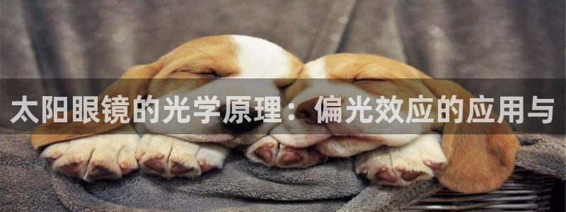 卧龙娱乐总管