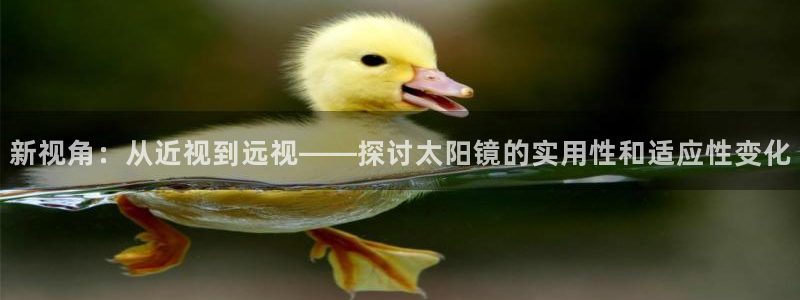 卧龙娱乐集团