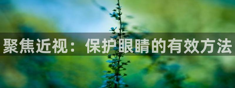 卧龙凤雏娱乐版