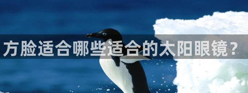 卧龙ktv娱乐会所地址
