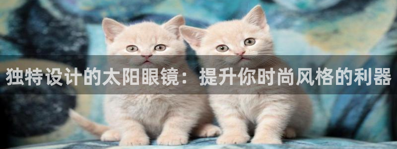 卧龙娱乐招商代理是谁