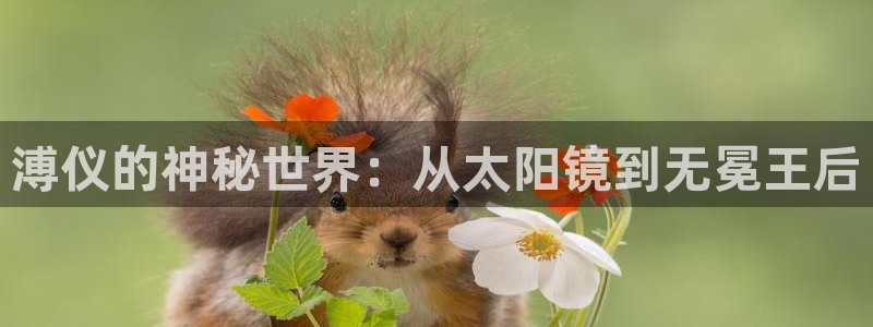 卧龙娱乐总代理电话