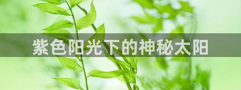 卧龙娱乐彩票官网直播