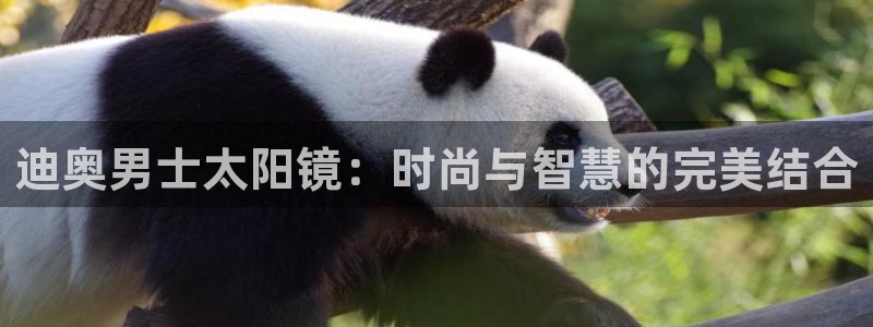 卧龙区休闲娱乐推荐