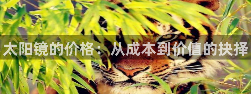卧龙凤雏娱乐夫妻