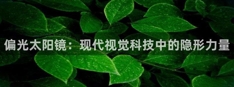 卧龙休闲娱乐人气推荐