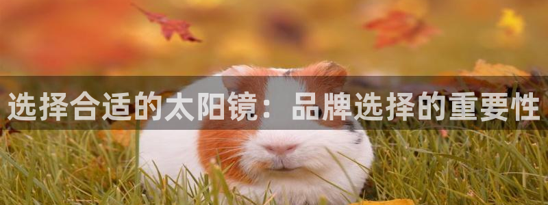 qq娱乐 卧龙主管60447