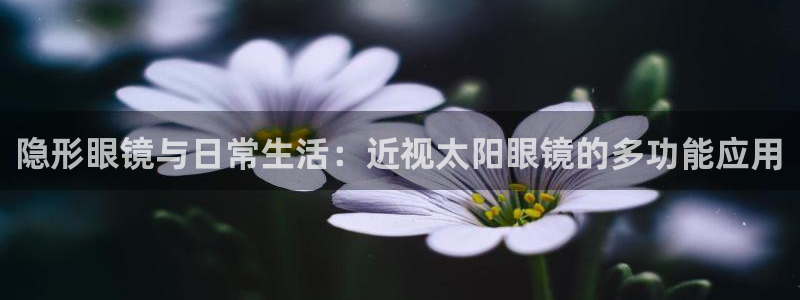 娱乐聚焦卧龙凤雏