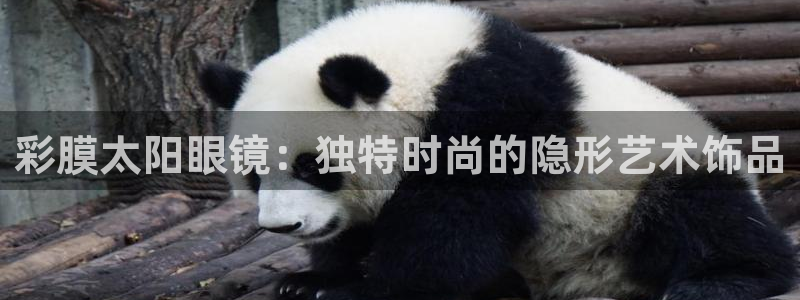 sky娱乐  0 47卧龙